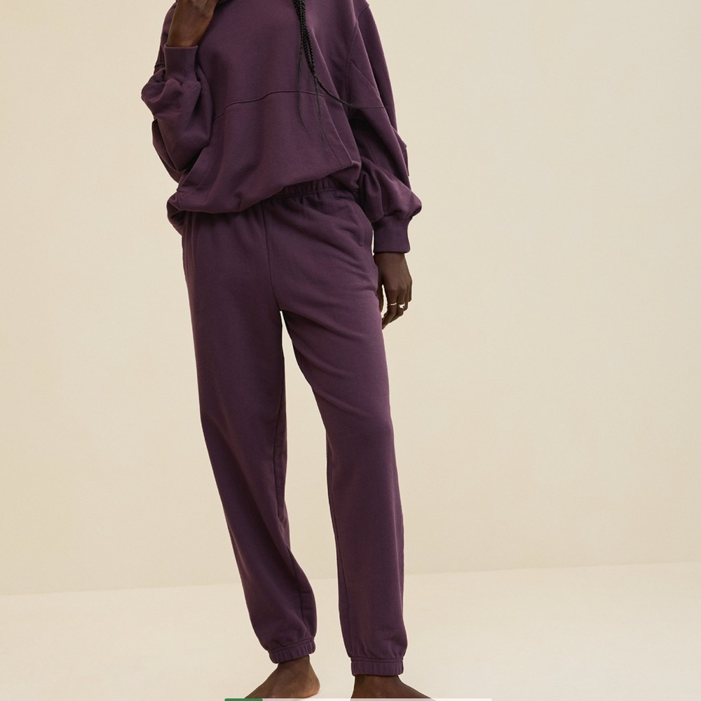 Aerie Jet Setter Purple Jogger Pants Size Large